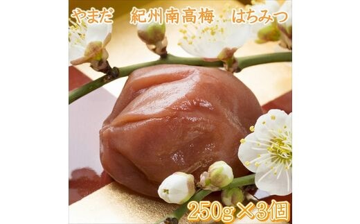 【0745-5】やまだ 南高梅はちみつ梅（250ｇ×3個）