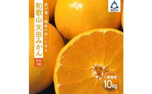 天田みかん（紀州和歌山）家庭用 10kg（先行予約）【0725-4】