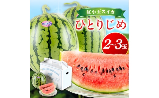 【0750-4】自農園産 紅小玉スイカ「ひとりじめ」2～3玉≪先行予約≫2026年6月中旬から順次発送【 配送不可地域：北海道・青森・秋田・岩手・沖縄・離島】