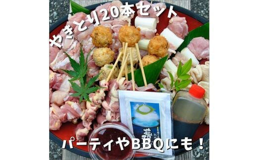 【0881-2】焼き鳥屋が作る【本格焼き鳥お任せセット２０本】