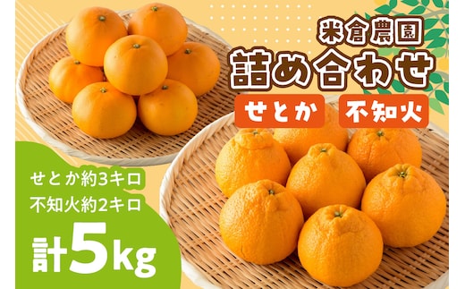 【1149-2】せとか・不知火詰め合わせ《先行予約2027年2月中旬頃より順次発送予定》
