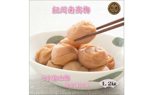 【0914-4】【家庭用】紀州南高梅 うす塩味梅 1.2ｋｇ