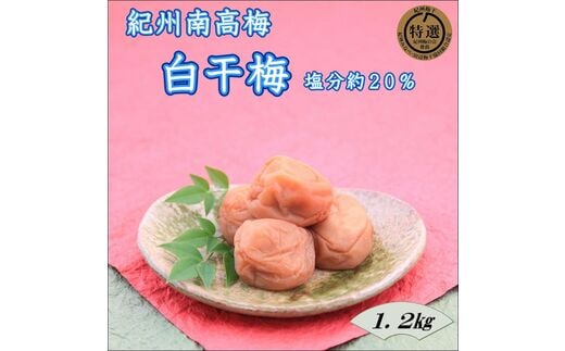 【0917-4】【家庭用】紀州南高梅 白干梅 1.2ｋｇ