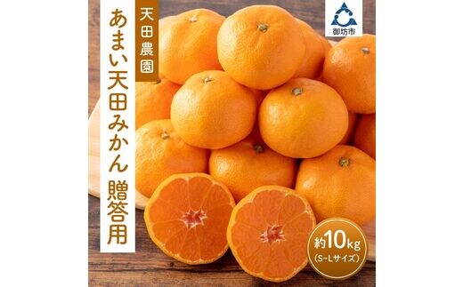 【0983-2】和歌山県 御坊市 あまい天田みかん 贈答用 約10kg《先行予約》