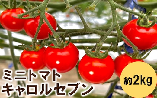【0910-4】ミニトマト（キャロルセブン）2kg≪先行予約2026年12月より順次発送予定≫