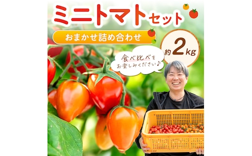 ミニトマトセット（おまかせ詰め合わせ）約2kg《先行予約》【0906-4】