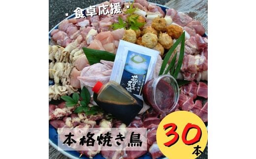 【1061-2】【本格焼き鳥お任せセット3０本】BBQ、キャンプに！