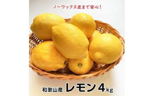 【1012-3】和歌山産レモン/グリーンレモン ４kg【国産レモン】《先行予約》