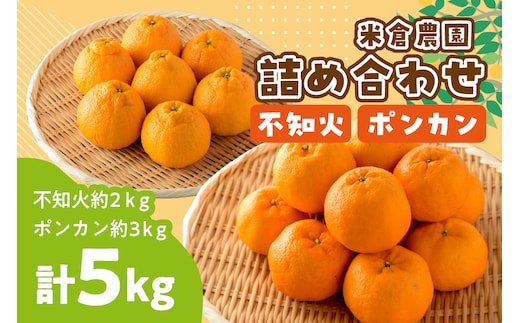 【1148-2】不知火・ポンカン詰め合わせ《先行予約2027年1月下旬頃より順次発送予定》