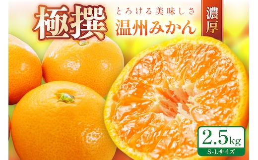 「濃厚な味のとろける美味しさ」温州みかん 2.5kg《先行予約》【1171-2】