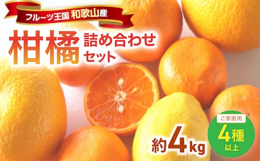 柑橘詰め合わせセット 家庭用4種以上 約4kg 和歌山産≪先行予約2027年1月下旬頃より順次発送分≫【1199-1】