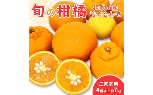 柑橘詰め合わせセット 家庭用4種以上 約7kg 和歌山産≪先行予約2027年1月下旬頃より順次発送分≫【1142-4】