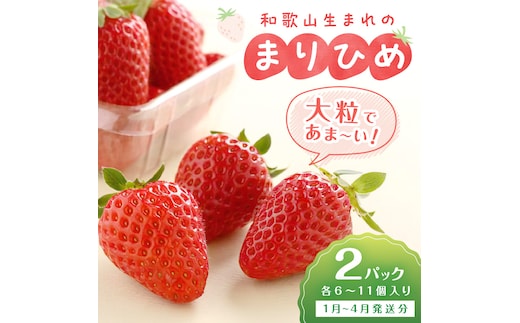 和歌山生まれのイチゴ（まりひめ）大粒2パック（1月～4月発送分）《先行予約》【1181-2】