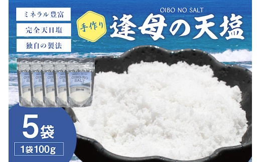 【1258-1】手作り天然塩 【逢母の天塩】100g×5パック
