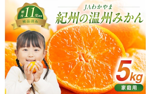 【1262-1】JAわかやま 紀州の温州みかん（家庭用）5kg