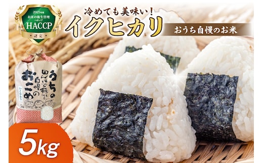 【1296】おうち自慢のお米 イクヒカリ 5kg