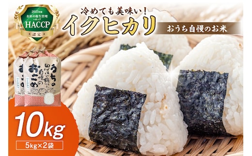 【1297】おうち自慢のお米 イクヒカリ10kg