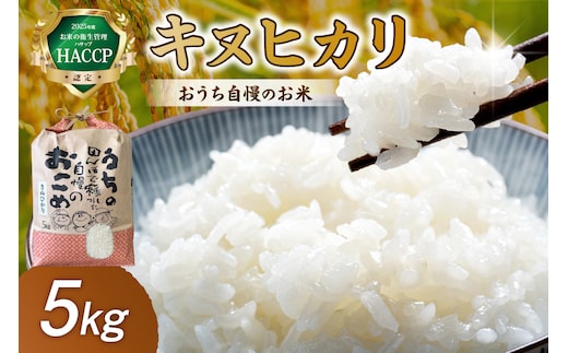 【1298】おうち自慢のお米 キヌヒカリ5kg