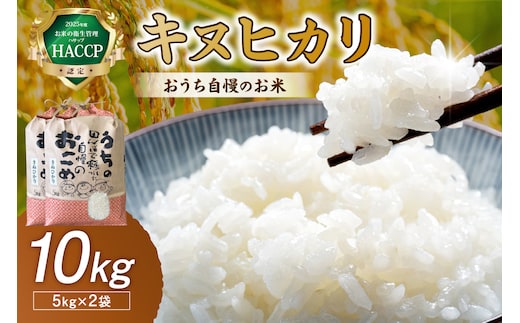 【1299】おうち自慢のお米 キヌヒカリ10kg