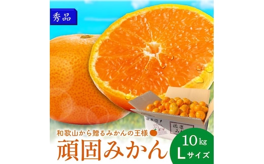 和歌山県天田のこだわり頑固みかん【秀品】 10kg サイズ指定可能（S・M・L）Lサイズ【1206-1_L】