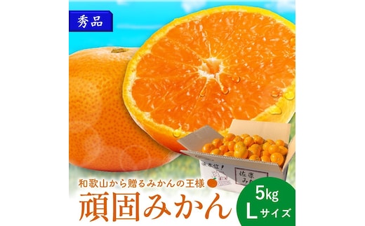 和歌山県天田のこだわり頑固みかん【秀品】 5kg サイズ指定可能（S・M・L）Lサイズ【1205_L】