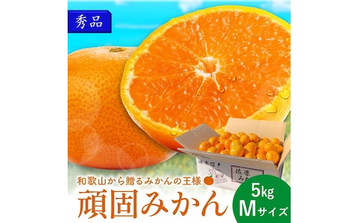 和歌山県天田のこだわり頑固みかん【秀品】 5kg サイズ指定可能（S・M・L）Mサイズ【1205_M】