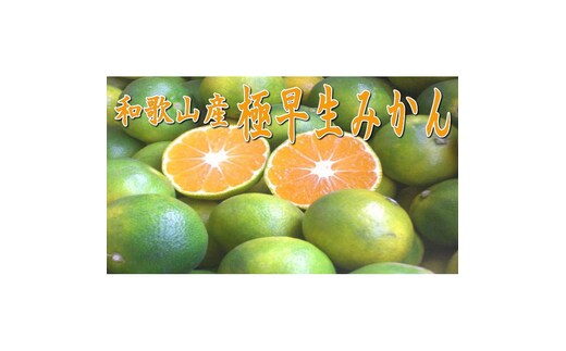 【0258-5】極早生みかん 10kg 和歌山産