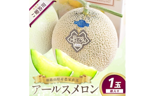農家直送!和歌山県御坊市産アールスメロン1玉≪先行予約 2027年7月より順次発送分≫【1219-1】