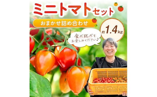 ミニトマトセット（おまかせ詰め合わせ）約1.4kg《先行予約》【1228-1】
