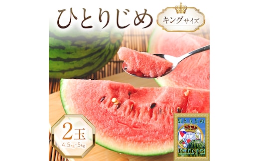 やまの農園 「ひとりじめ」キングサイズ 2玉≪先行予約≫【2027年6月中旬より順次発送予定】【1265-1】