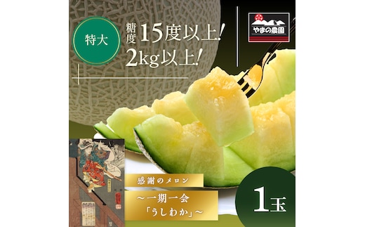 やまの農園 感謝のメロン～一期一会「うしわか」～1玉≪先行予約≫【2027年7月中旬より順次発送予定】【1268-1】