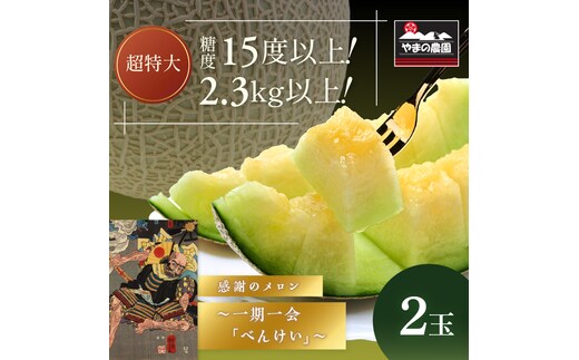 やまの農園 感謝のメロン～一期一会「べんけい」～2玉≪先行予約≫【2027年7月中旬より順次発送予定】【1269-1】