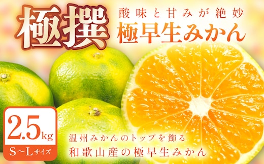 極早生みかん 2.5kg 和歌山産 甘酸っぱいみかん【1212】