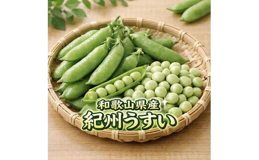 うすい豆 紀州うすい 1kg うすいえんどう《先行予約》【2027年2月より順次発送予定】【1314】