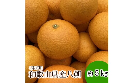 【1316】和歌山県産八朔約5kg（ご家庭用）