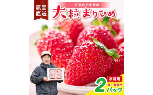 大粒の贅沢！「まりひめ」を農家直送で【家庭用】2パック 【配送不可地域：北海道・青森・秋田・岩手・沖縄・離島】【1331】
