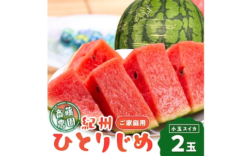≪家庭用≫紀州ひとりじめ(小玉スイカ) 2玉（M～Lサイズ） 3kg程度 ≪先行予約≫2027年5月下旬から順次発送予定 【配送不可地域：北海道・青森・秋田・岩手・沖縄・離島】【1341】