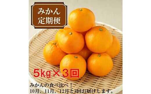 【8006-1】厳選みかん定期便5kg 3回（10月、11月、12月）《先行予約》固定月にお届け予定