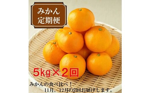 【8011-1】厳選みかん定期便5kg 2回（11月、12月）《先行予約》固定月にお届け予定