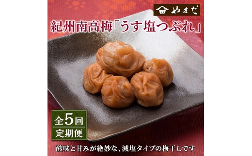 【8029-2】【定期便5回】紀州南高梅うす塩つぶれ（塩分約6％）
