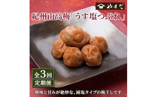 【8030-2】【定期便3回】紀州南高梅うす塩つぶれ（塩分約6％）