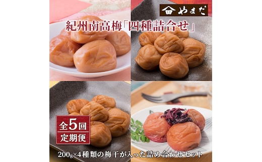 【8033-2】【定期便5回】厳選紀州南高梅四種詰合せ