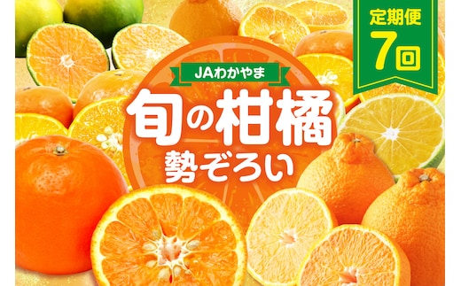 【8070】JAわかやま紀州 柑橘勢ぞろい セット 7回 定期便