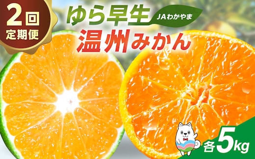 【2回定期便】JAわかやま 紀州のゆら早生･温州みかん【8077】