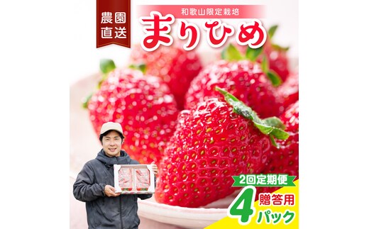 【2回定期便】毎月届く幸せ「まりひめ」を農家直送で【贈答用】4パック ＜固定月配送＞ 【配送不可地域：北海道・青森・秋田・岩手・沖縄・離島】【8071】