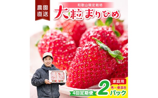 【4回定期便】大粒の贅沢！毎月届く幸せ「まりひめ」を農家直送で【家庭用】2パック ＜固定月発送＞ 【配送不可地域：北海道・青森・秋田・岩手・沖縄・離島】【8074】