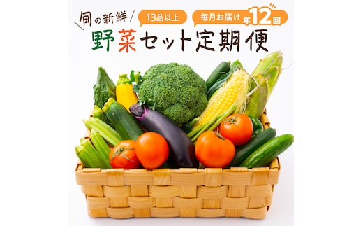 【8004-2】定期便 旬の新鮮野菜セットA【毎月お届け12回】たっぷり13品以上