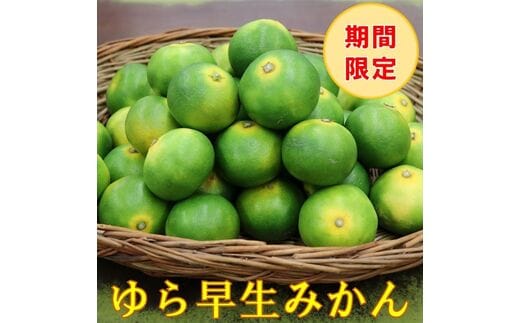 【0162-3】糖度抜群！ゆら早生（みかん）5kg≪先行予約≫