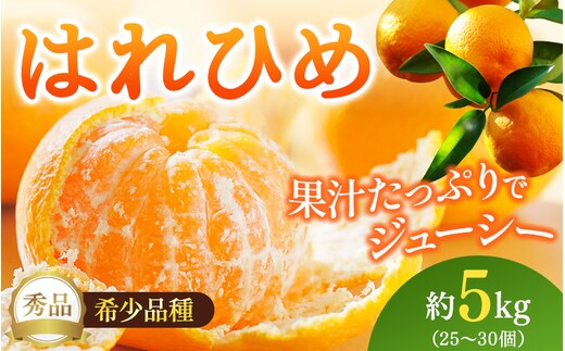 【先行予約】希少種みかん はれひめ 秀品 約5kg (25個～30個) ※2025年12月中旬～2026年2月初旬頃に順次発送予定（お届け日指定不可）/ 和歌山 みかん ミカン はれひめ フルーツ 柑橘 蜜柑 果物 くだもの 旬 産地直送【kgr004A】 