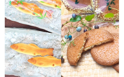 鮎8個・みかんサブレ9枚 詰め合わせセット クッキー サブレ 焼き菓子 菓子 お菓子 餡 ギフト【fks107A】